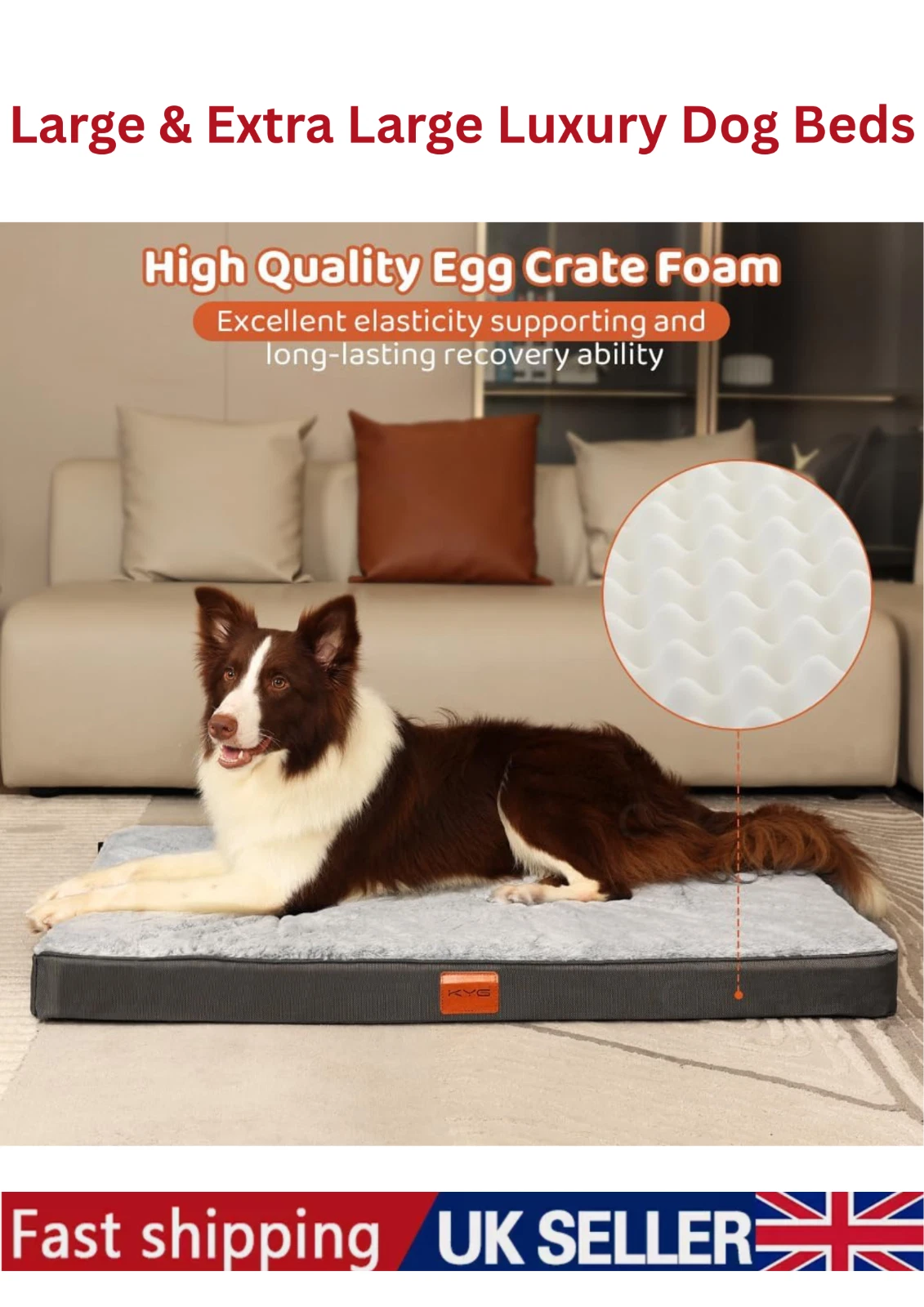 Premium Orthopedic Memory Foam Dog Bed Waterproof Pet Dog Crate Jumbo Mattress
Opens in a new window