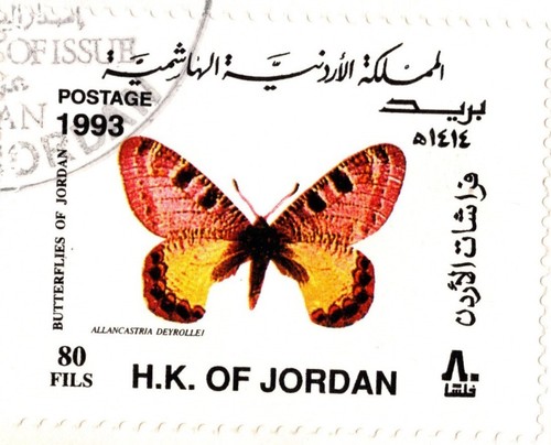 JORDAN 1993 BUTTERFLIES OF JORDAN, FOUR STAMPS & SOUVENIR SHEET, FDC, SC 1448-52 - Picture 5 of 7