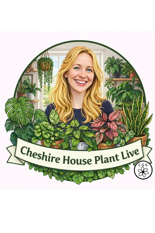 💚🌸 House Plants 🌸💚 Auctions & Flash Sales ! 🌸