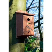 "Nistkasten \"Kohlmeise\" Meisenkasten Holz Nisthilfe WildvöGel NisthöHle Braun"