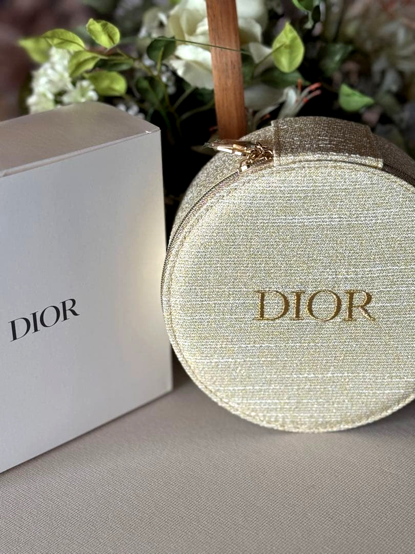 Christian Dior Vanity 2024 Pouch Jewelry Makeup Case Limited