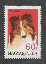 Art Dog Head Study Portrait Postage Stamp ROUGH COATED COLLIE Hungary 1967 MNH