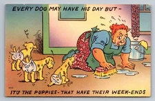 Vintage Comic Postcard Puppies Messing Up Floor Tichnor Bros. 1940s