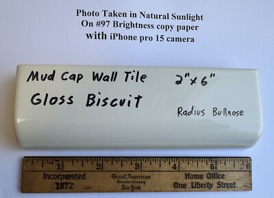 1 pc. Gloss Biscuit: 2'' X 6'' X 3/4'' Ceramic Radius Bullnose Tiles, Mud Caps, New