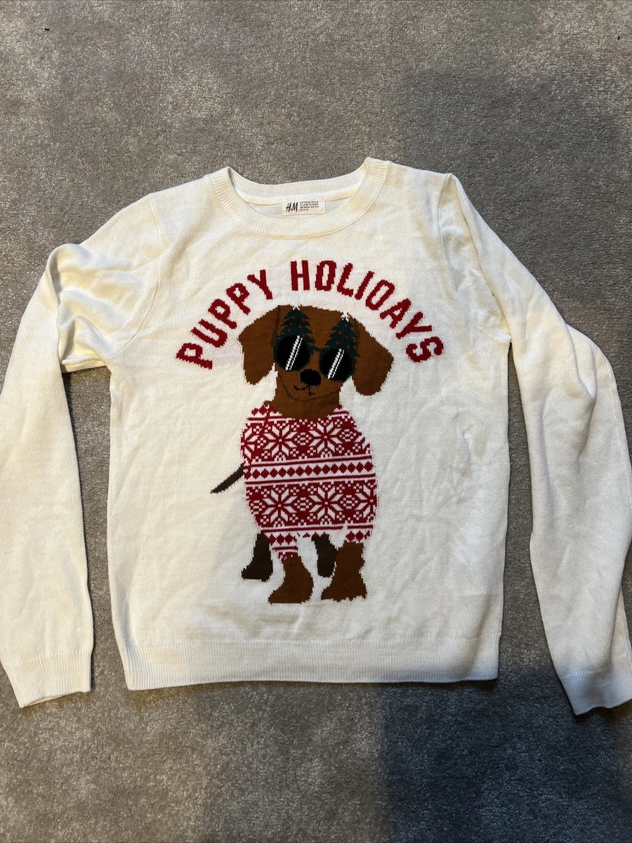 h&m dog christmas jumper