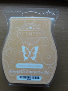 SCENTSY WAX BAR FALL & HOLIDAY FALL WINTER CARAMEL VANILLA DELIGHT RARE SCENT