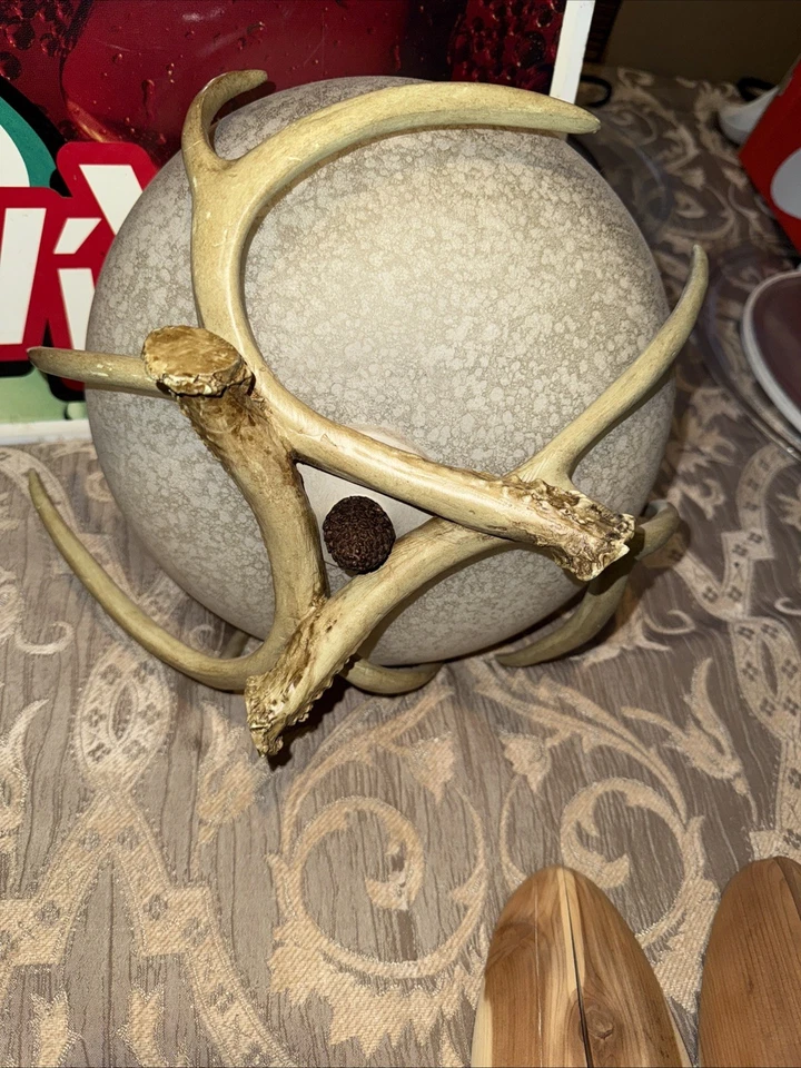 Lodge 2 luces montaje semi-al ras en estilo rústico y asta 9 pulgadas de alto y 12 Foto 4 de 4