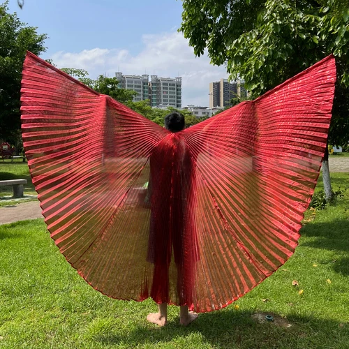 Transparent Belly Dance Wings Stage Performance Dancing Props - Picture 36 of 42