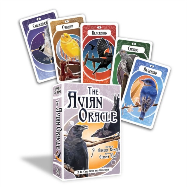 The Avian Oracle : A 45 Card Deck And Guidebook Sandra (Sandra Kynes) Kynes - Image 4