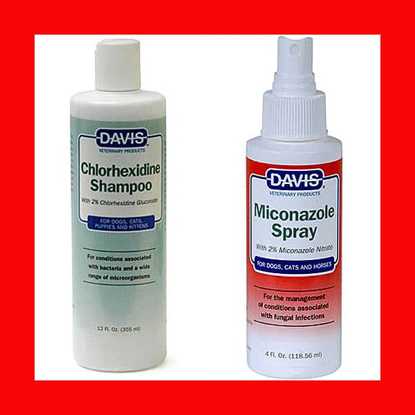 Davis Chlorhexidine Medicated Shampoo 12 oz Miconazole Medicate