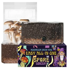 6lbs All-in-One Mushroom Grow Kit in a Bag | HUGE FLUSHES | Easy to Use