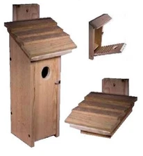 Ark Workshop cedar Downy WOODPECKER house titmouse chickadee finch nuthatches