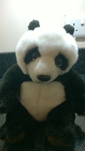 Living Nature New Panda Cuddly Soft Toy Plush 9 inches long With The Tags - Picture 3 of 8