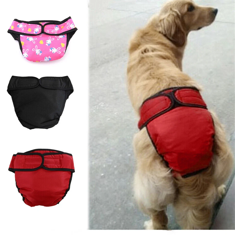 S-XL Läufigkeitshose Hundewindel Schutzhose waschbar Hundehöschen für Hündinnen - Bild 3 von 4