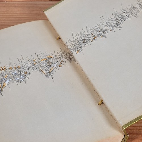 1975 "Fields of Gold" 1st Edition Poetry Book, Priscilla Shepard Vintage - Picture 22 of 22