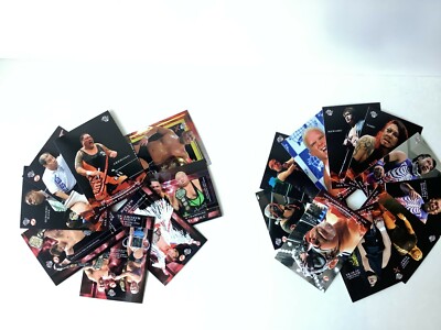 範道大也 ライセンスカード 3種セット ALL Japan PRO Wrestling Card SET '09 -10 BBM ZODIAC