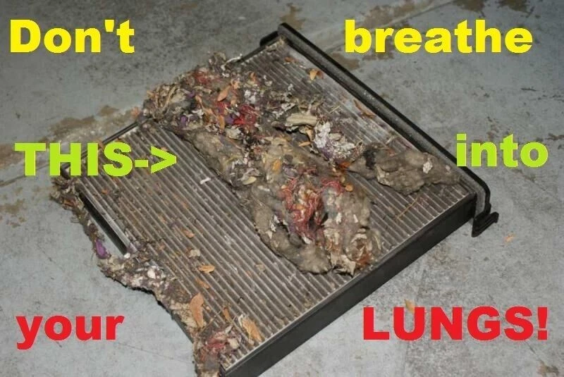 Paquete doble de filtro de aire de cabina para HONDA ACURA Accord Civic CRV Odyssey ahorra $$ Foto 2 de 4