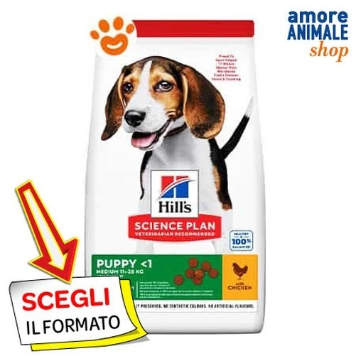 bett für hund Hundekörbchen mit hohem Rand – weich & waschbar main image 0