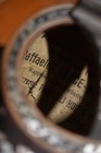 Foto 8 di 8
