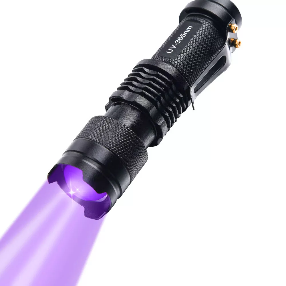 UV LED Zoomable Flashlight Torch Light 365nm Ultra Violet