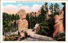 Black Hills South Dakota SD : ROAD SCENE d/13 AV7390