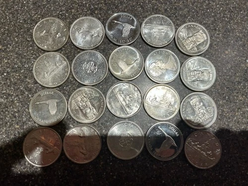 20 Various Canadian Silver Dollars Various Condition Goose Canoe