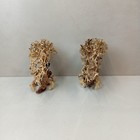 Foto 2 di 6