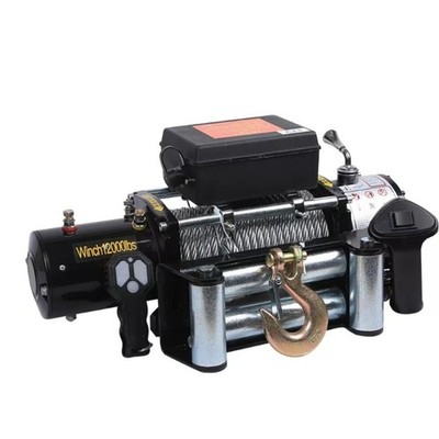 Pure Copper Winch 12V/24V Compact Crane Vehicle-Mounted Electric Hoist
