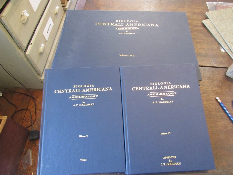 Biologia Centrali Americana Central American Mayan Archaeology