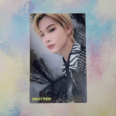 enhypen トレカ ラキドロ weverse ユニバ 14枚 コンプ CD