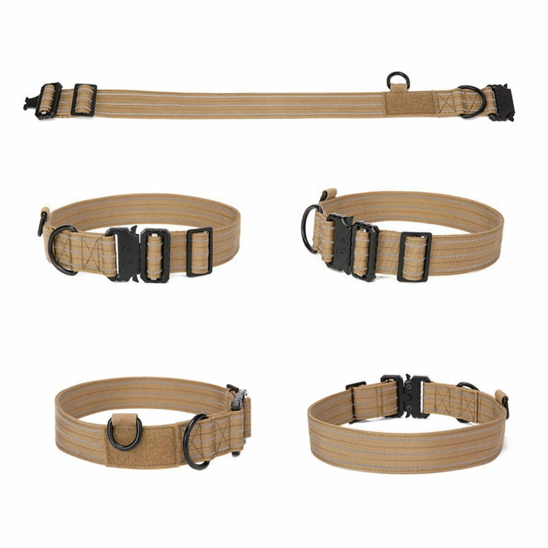 Stainless steel top dog collar hardware