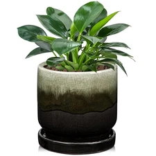 Ceramic Pot for Plants - 5.5 inch Small Planter with Drainage Hole and Saucer...
