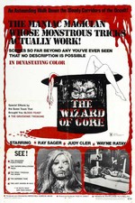 1970 THE VAMPIRE LOVERS VINTAGE HORROR FILM MOVIE POSTER PRINT 24x16 9MIL PAPER
