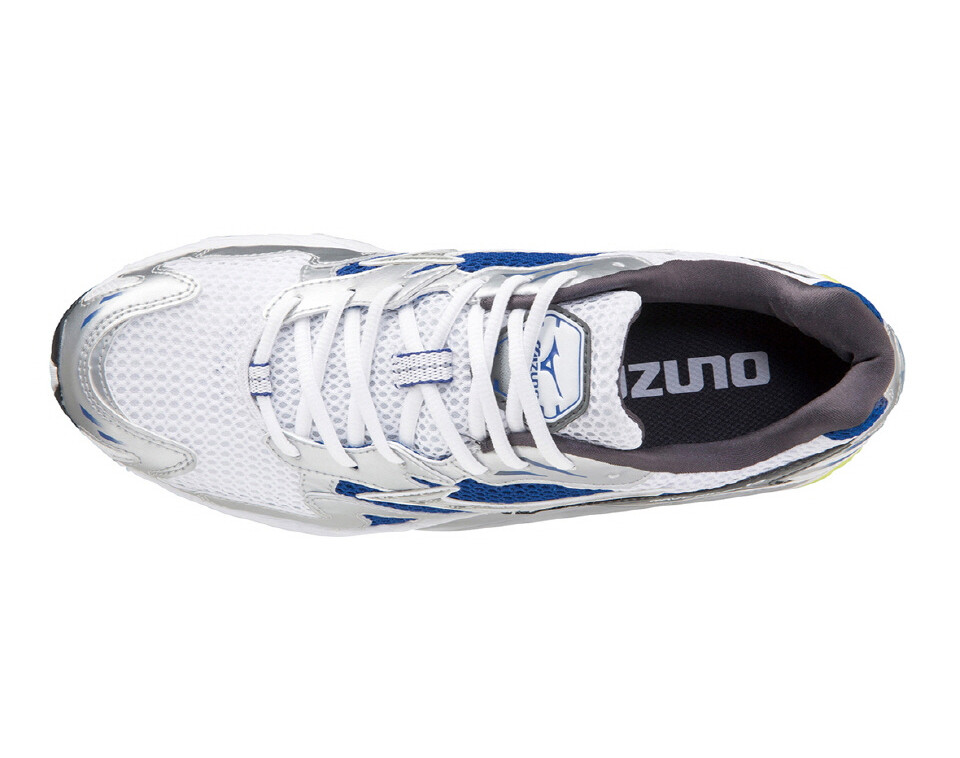 MIZUNO WAVE RIDER 10 DOE ベースボール MIZUNO WAVE RIDER 10 DOE ベースボール メンズ