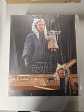 Hot Toys Star Wars Ahsoka Tano and Grogu The Mandalorian DX21 TMS2