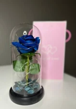Preserved Eternal Rose In Glass Galaxy Flower Dome LED Light Valentine Day Gifts