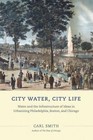 City Water, City Life: Water and the Infrastructure of Ideas in Urbanizing Philadelphia, Boston, and Chicago by Carl Smith (Paperback, 2014)