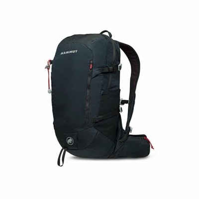 mammut 20l backpack