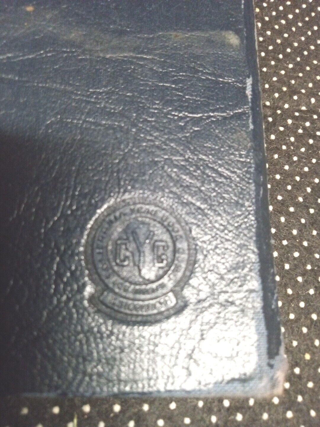 Picture 8 of 8
