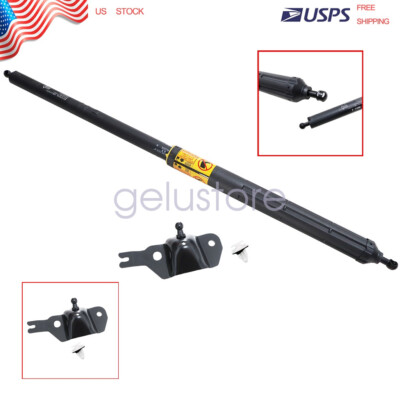 New Fits For Toyota Land Cruiser 2010-2017 New Door Limit Support Shock Strut US