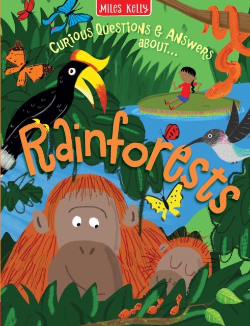 Rainforests by Miles Kelly (Paperback Book)