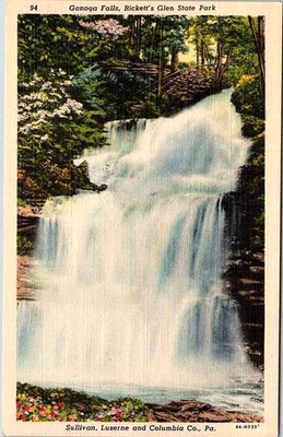Postcard WATER SCENE Between Luzerne & Columbia Pennsylvania PA m/09 AO5483