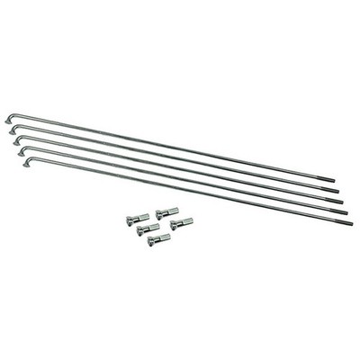 Sapim Speichen Babboe 13/160 (5 Stück/Beutel) Edelstahl m. Nippel, Polyax, 13Gx1