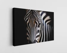 Zebra Canvas Wall Art Black White Animal Photography Moody Safari Print
