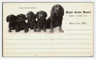 Wisconsin WI State Line Maple Grove Resort Dogs Five of a Kind Unposted c1900s