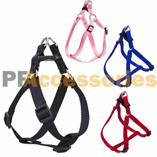Small Dog / Cat / Pet Control Harness Step in Walk Collar Safety