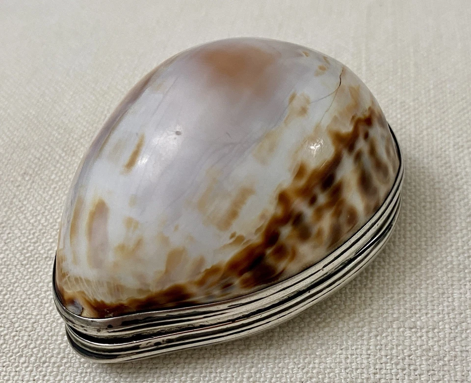 Antigua caja de rapé Cowrie Shell montada en plata siglo XVIII dorada Art Nouveau Foto 4 de 4