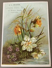 # K4250 VICTORIAN TRADE CARD, RA.L. BEARSE, BISTON, MA.