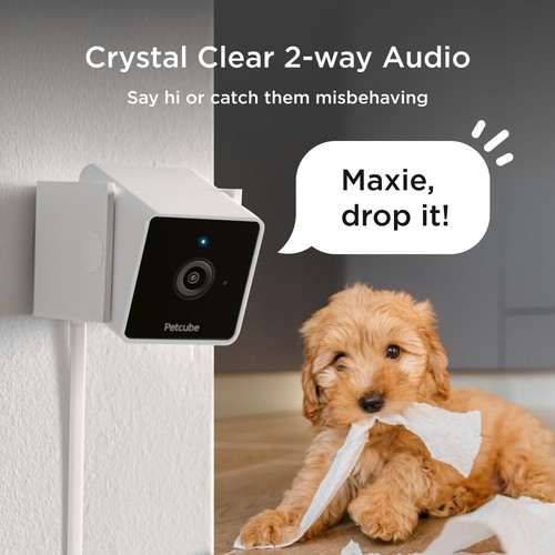 Cam The Pack of 2 | Indoor Wi-Fi Pet Security Camera with Phone App, 2-Way Au... - Picture 3 of 6