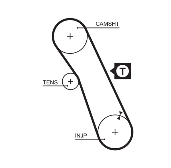 GATES-OE 5055XS Timing Belt for FORD